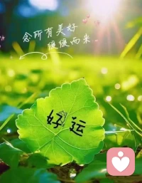 今天真真的体验了一下五一劳动节的快乐配图