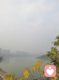 自性 自觉 觉他