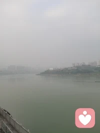 自性 自觉 觉他