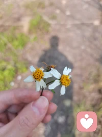 允许别人伤害自己也是一种选择。但除了意识到责任在自己，更重要的是学会如何收回这种允许。比如设立清晰的边界，觉察自己哪些妥协是出于恐惧而非爱。这才是真正爱自己的开始。配图