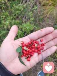 有几个人是过好当下的呢？配图