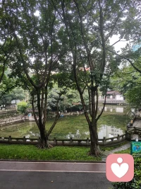 雨天的思绪是否平静？配图