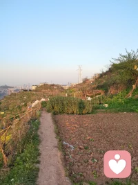 有段时间没来了，平台不推流。来这冒个泡。

擅长抑郁症，双相情感障碍，创伤，创伤后应激障碍…配图