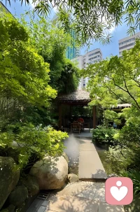 早安！
关注滚滚红尘中的芸芸众生，体己察人，见微知著，悲悯善行！！