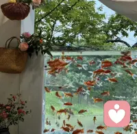 愿意做你的树洞