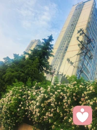 路过街边，看到角落满墙的花，瞬间有一丝丝美好。
在生活里，你很细心，你可以发现某个点、某个瞬间、某个情景可以让你的心情、内心世界，有一丝平静、或者那瞬间的美好，是吗？
虽然诗诗刚来到这里，但是一直在倾听，在关注你。