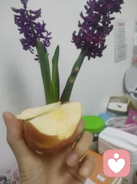 别把新鲜的苹果放坏了
也别懊悔自己没有及时吃苹果
都已经发生了
珍惜此刻
下次记得及时吃配图