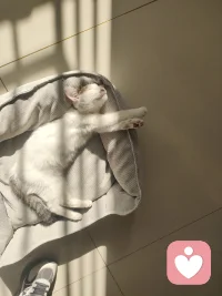 不要遽(jù)下判断

孔子被困于陈蔡时，有一天颜回负责煮祭祀的贡饭，有一小团饭掉到地上弄脏了，于是颜回便捡起来吃了，刚好被子路看到，以为他偷吃。经过颜回解释，子路才恍然大悟。

后来孔子知道了整件事，很感慨地说：“我们亲眼看见的事情也不确实，何况是道听途说呢？”配图