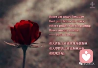 >有时候世界虽然是假的，但并不缺少真心对待我们的人
                    
                                          ——楚门的世界配图