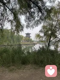 早上起床，满满的正能量。拥抱太阳，倾听你的心声