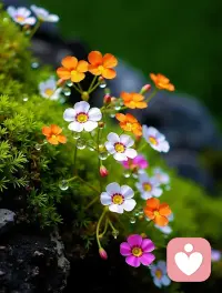 “当你越来越漂亮时，自然有人关注你；
      当你越来越有能力时，自然会有人看得起你。
      改变自己，你才有自信，梦想才会慢慢实现。
     做最好的自己，懒可以毁掉一个人，勤可以激发一个人！
    不为别人，只为做一个连自己都羡慕的人。配图