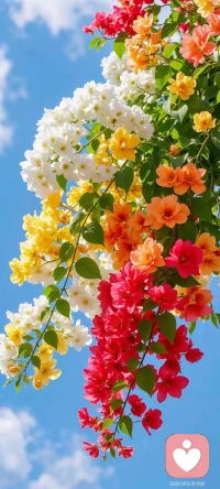 感恩孩子青春期这个特殊阶段，经历了各种偏差行为情绪失控以及手机抢夺打仗等等这个无比煎熬和痛苦的阶段，促使我有了三年的家庭教育学习，让我懂得走进孩子内心陪伴生命照亮生命，更懂得了生命只有基于被爱变得顺从，生命只有基于被爱才会改变配图