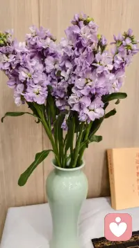 真正的强大不是挥舞拳头，而是打开双臂拥抱世界配图