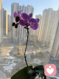 别问别闹别试探，你不是例外！别等别想别期待你也不是偏爱！记住，砸不到别人心里的眼泪，一滴都别流配图