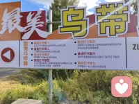 那时的美景，那时的我们配图