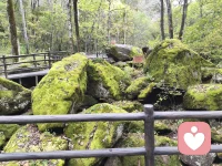 那时的美景，那时的我们配图