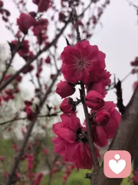 我没有必要随便可伶别人，我也没有资格用怜悯的形式去否定别人的活法。配图