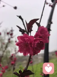 我没有必要随便可伶别人，我也没有资格用怜悯的形式去否定别人的活法。配图