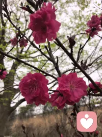 我没有必要随便可伶别人，我也没有资格用怜悯的形式去否定别人的活法。配图