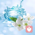 天马行空的头像