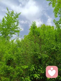 “问题”是成长的邀请，尝试静下来，内观，身体会充满能量，大脑会生出智慧，请给大脑一次越狱的机会。配图