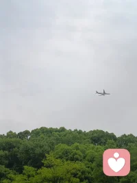 阅读是一座随身携带的避难所，我们可以培养阅读的习惯，尽量避开世间的不幸。配图