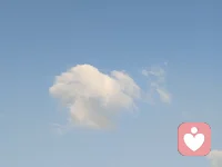 每个人的标准都不一样，不要执着在自己的标准里，那是一切痛苦的来源。配图