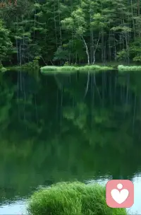 水在流，往往看不清倒影；水不流了，倒影才显现出来；看清了，才可能明白。
我们的心也是如此，定助观，观生慧。
​
​——然师配图