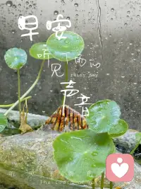 心有两种造作：
一种是抓取，导致贪；一种是排斥，导致嗔。
而看不到这两种造作，就是痴。
对“我是对的”的深层抓取，就是慢。
对“别人是对的”的深层排斥，就是疑。
所以，贪嗔痴慢疑，最根本的只有贪和嗔,
也就是抓取与排斥，其他三个只是推论。
—然师配图