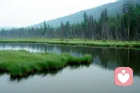 痴源于迷，迷源于困，困源于痴——恶性循环。
慧生于觉，觉生于自在，自在生于慧——良性循环。
其中能够把握的是觉和迷，而其他两处则是自然结果。

——然师
