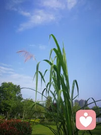 无论打坐还是念佛，修行阶段皆如下：
静中修十分，动中得一分；
动中修十分，梦中得一分；
梦中修十分，生死得一分。

——然师