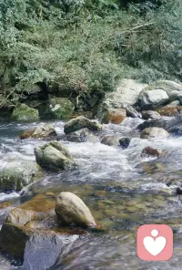 真正的无为，不是像石头，而是像水，而是像虚空。
真正的无为，是顺势地无不为。
虚空是不会阻碍任何事物的运动的。

——然师