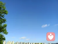 人之所以不自在，
都是受习惯的控制——意识习惯的控制和下意识习惯的控制。
意识习惯就是我们的三观，
下意识习惯就是我们的情绪反应。

——然师