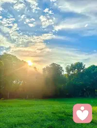 善待一切，才能被一切善待。
虽然不是立刻马上，但终究会的。
——然师