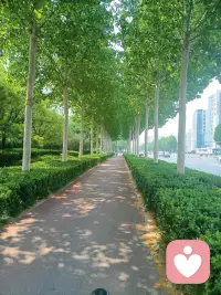 见到出世间法，并不是排斥世间，
而只是获得了出世间的视角，
这样在世间才会更自由。

——然师
