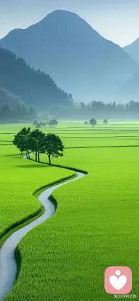 只有放下了，才有可能想拿什么就拿什么。

——然师