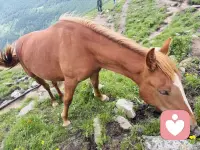 1. 我不擅长说教，只擅长安静倾听。

2. 你尽管说，我在听，不打断，不评判。

3. 把情绪慢慢讲给我，我做你最稳的听众。

4. 不用假装坚强，我愿意接住你的所有情绪。配图