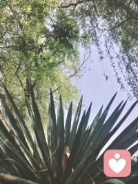 每一种身体不适，都有对应的荷尔蒙治愈你总觉得压力大、睡不好、情绪低落、浑身疲惫？‌ 其实，每一个身体问题，都有一种荷尔蒙可以治愈。
不用硬扛，不用内耗，做好这10件小事，身体会自己慢慢变好。
 
1. 压力—皮质醇—散步
压力太大时，别硬撑，出门慢慢走一走。
简单的散步，就能平稳皮质醇，让焦虑悄悄退去。
​
2. 疼痛—内啡肽—跑步
身体酸痛、心里难受，都可以交给内啡肽。
跑一跑、动一动，天然止痛又治愈。
​
3. 悲伤—血清素—吃水果
情绪低落、心里发闷，吃点清甜的水果。
补充血清素，把坏心情一点点吃掉。

​4. 抑郁—血清素—听音乐
提不起劲、开心不起来，戴上耳机听听歌。
旋律会唤醒血清素，慢慢走出情绪低谷。

​5. 疲倦—多巴胺—洗冷水澡
整天昏昏沉沉、没精神，试试短暂冷水澡。
刺激多巴胺分泌，瞬间清醒，活力回来。

​6. 失眠—褪黑激素—晒太阳
晚上睡不着，白天多晒晒太阳。
阳光调节生物钟，褪黑激素正常分泌，夜夜好眠。

​7. 内耗—自我察觉—正念练习
胡思乱想、反复纠结，就做一次正念练习。
专注当下，停止内耗，心自然会静下来。

​8. 恐惧—肾上腺素—正念呼吸
紧张、害怕、心慌时，深呼吸就有用。
平稳肾上腺素，让身体和情绪慢慢放松。

9. 焦虑—γ-氨基丁酸—冥想
焦虑不安、心神不宁，安静坐下来冥想。
唤醒GABA，抚平烦躁，回归松弛状态。

​10. 懒惰—肾上腺素—高强度短暂运动
拖延、懒散、没动力，来一组短时高效运动。

快速提升肾上腺素，立刻找回行动力。
  身体从不会说谎，情绪也不必压抑。
       读懂身体的信号，用最简单的方式，
       唤醒属于自己的快乐荷尔蒙，
       ‌ 好好爱自己，比什么都重要。