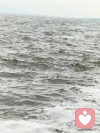 每一种身体不适，都有对应的荷尔蒙治愈你总觉得压力大、睡不好、情绪低落、浑身疲惫？‌ 其实，每一个身体问题，都有一种荷尔蒙可以治愈。
不用硬扛，不用内耗，做好这10件小事，身体会自己慢慢变好。
 
1. 压力—皮质醇—散步
压力太大时，别硬撑，出门慢慢走一走。
简单的散步，就能平稳皮质醇，让焦虑悄悄退去。
​
2. 疼痛—内啡肽—跑步
身体酸痛、心里难受，都可以交给内啡肽。
跑一跑、动一动，天然止痛又治愈。
​
3. 悲伤—血清素—吃水果
情绪低落、心里发闷，吃点清甜的水果。
补充血清素，把坏心情一点点吃掉。

​4. 抑郁—血清素—听音乐
提不起劲、开心不起来，戴上耳机听听歌。
旋律会唤醒血清素，慢慢走出情绪低谷。

​5. 疲倦—多巴胺—洗冷水澡
整天昏昏沉沉、没精神，试试短暂冷水澡。
刺激多巴胺分泌，瞬间清醒，活力回来。

​6. 失眠—褪黑激素—晒太阳
晚上睡不着，白天多晒晒太阳。
阳光调节生物钟，褪黑激素正常分泌，夜夜好眠。

​7. 内耗—自我察觉—正念练习
胡思乱想、反复纠结，就做一次正念练习。
专注当下，停止内耗，心自然会静下来。

​8. 恐惧—肾上腺素—正念呼吸
紧张、害怕、心慌时，深呼吸就有用。
平稳肾上腺素，让身体和情绪慢慢放松。

9. 焦虑—γ-氨基丁酸—冥想
焦虑不安、心神不宁，安静坐下来冥想。
唤醒GABA，抚平烦躁，回归松弛状态。

​10. 懒惰—肾上腺素—高强度短暂运动
拖延、懒散、没动力，来一组短时高效运动。

快速提升肾上腺素，立刻找回行动力。
  身体从不会说谎，情绪也不必压抑。
       读懂身体的信号，用最简单的方式，
       唤醒属于自己的快乐荷尔蒙，
       ‌ 好好爱自己，比什么都重要。