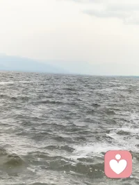 每一种身体不适，都有对应的荷尔蒙治愈你总觉得压力大、睡不好、情绪低落、浑身疲惫？‌ 其实，每一个身体问题，都有一种荷尔蒙可以治愈。
不用硬扛，不用内耗，做好这10件小事，身体会自己慢慢变好。
 
1. 压力—皮质醇—散步
压力太大时，别硬撑，出门慢慢走一走。
简单的散步，就能平稳皮质醇，让焦虑悄悄退去。
​
2. 疼痛—内啡肽—跑步
身体酸痛、心里难受，都可以交给内啡肽。
跑一跑、动一动，天然止痛又治愈。
​
3. 悲伤—血清素—吃水果
情绪低落、心里发闷，吃点清甜的水果。
补充血清素，把坏心情一点点吃掉。

​4. 抑郁—血清素—听音乐
提不起劲、开心不起来，戴上耳机听听歌。
旋律会唤醒血清素，慢慢走出情绪低谷。

​5. 疲倦—多巴胺—洗冷水澡
整天昏昏沉沉、没精神，试试短暂冷水澡。
刺激多巴胺分泌，瞬间清醒，活力回来。

​6. 失眠—褪黑激素—晒太阳
晚上睡不着，白天多晒晒太阳。
阳光调节生物钟，褪黑激素正常分泌，夜夜好眠。

​7. 内耗—自我察觉—正念练习
胡思乱想、反复纠结，就做一次正念练习。
专注当下，停止内耗，心自然会静下来。

​8. 恐惧—肾上腺素—正念呼吸
紧张、害怕、心慌时，深呼吸就有用。
平稳肾上腺素，让身体和情绪慢慢放松。

9. 焦虑—γ-氨基丁酸—冥想
焦虑不安、心神不宁，安静坐下来冥想。
唤醒GABA，抚平烦躁，回归松弛状态。

​10. 懒惰—肾上腺素—高强度短暂运动
拖延、懒散、没动力，来一组短时高效运动。

快速提升肾上腺素，立刻找回行动力。
  身体从不会说谎，情绪也不必压抑。
       读懂身体的信号，用最简单的方式，
       唤醒属于自己的快乐荷尔蒙，
       ‌ 好好爱自己，比什么都重要。