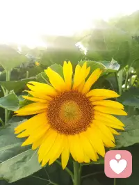 从 “受害者” 变成自己人生的主人🌷
我在陪伴无数来访者走过痛苦、委屈、愤怒、迷茫时，看到一个共同的规律：谁把人生的控制权交出去，谁就会活在痛苦里。配图