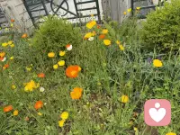 心理学上有个概念叫“情绪颗粒度”。🌷它指的是一个人识别和区分不同情绪的能力。情绪颗粒度越高的人，越能清晰地知道自己此刻是“委屈”还是“失望”，是“焦虑”还是“疲惫”；而情绪颗粒度低的人，只能笼统地感觉到“不舒服”“不对劲”，却说不清到底是什么。

“有意思的是，💕那些我们拼命想赶走的情绪，恰恰是最需要被听见的声音。”🌷配图