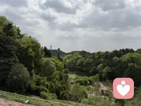 精神内耗从不是个人的软弱，而是时代下年轻人的共同情绪困境。但生活的主动权始终在自己手中，唯有放下执念、直面焦虑、即刻行动，才能告别自我拉扯，找回内心的平静与力量，在纷繁的世界里，活出轻松自在的人生。