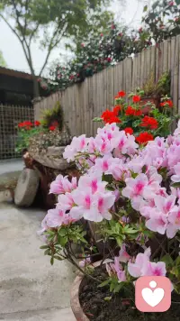 “爱不是占有，而是给予空间，让彼此自由呼吸。”