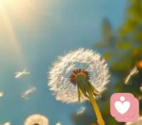 🌸小时候越独立懂事的孩子，长大后往往要面对更多的心理困境。 这份过早成熟的乖巧，并非天生的优秀品格，更像是一层脆弱的铠甲，在成年后逐渐显露出沉重的代价。🌸配图