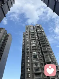 情绪陪跑在线守候，满心委屈无处倾诉、心事不被懂得、心酸无人理解，都可以来找我。🌷配图