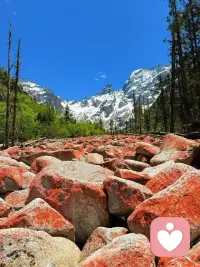 诉说就是治愈的开始❤️