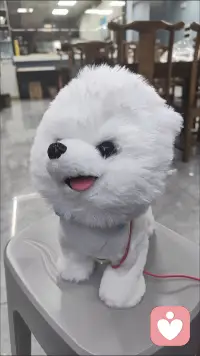 倾听从💓开始！