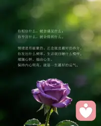 🌔 ɢᴏᴏᴅɴɪɢʜᴛ ☾

生而悦己,而非困于他人,不必苛求,灵魂本就是朵难忘的花。 #晚安配图