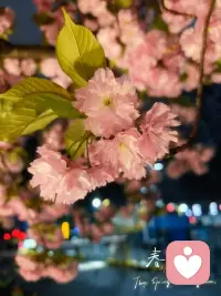 只有真正自尊意识强的人，在遇到困境 受情伤的时候才会出现一种强烈的“自我嫌弃”，我接受不了我自己这样，然后才会生出一种“自救意识”，我不能这样，把自己从情绪泥潭里拔出来。

而强自尊意识的建立，首先就是超强的“成长驱动力”，一定经历过围绕目标心无旁骛拼搏的过程；对自己足够狠，对自己足够严格。

外面没有人可以解决你的情绪，打败情绪的只有坚定的欲望和强烈的成长驱动力。配图